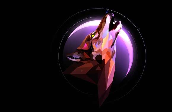Howling wolf Black background wallpapers hd quality