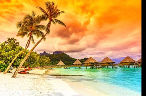 Hut Holiday Cloud Sand Palm Tree Beach Photography Tropical wallpapers hd quality