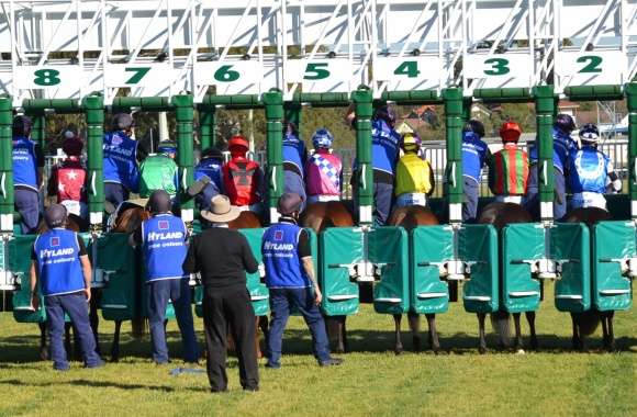 In The Starting Gate For Race 4 - 6 Aug 2014