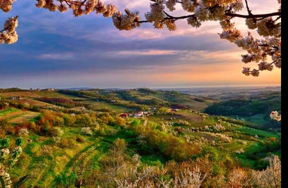 Italy Lombardia Skyline Blossom Spring Photography Landscape