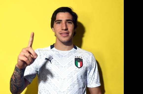 Italy National Football Team Sandro Tonali Sports