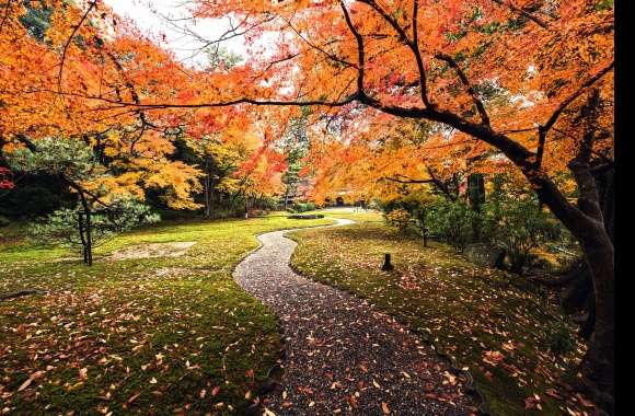 Japan Garden Path Photography Fall