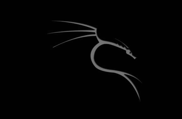 Kali Linux Dragon Technology