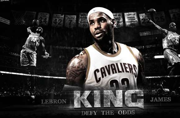 King of the Court HD Basketball Wallpaper wallpapers hd quality