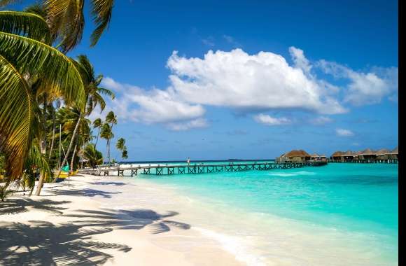 Lagoon Palm Tree Sea Holiday Resort Tropics Pier Maldives Constance Halaveli Resort Photography Beach