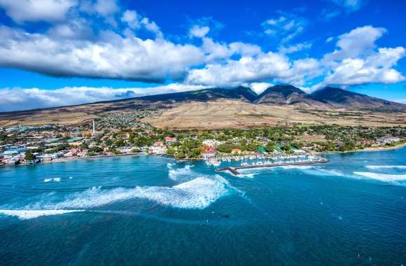 Lahaina Big Wave Day