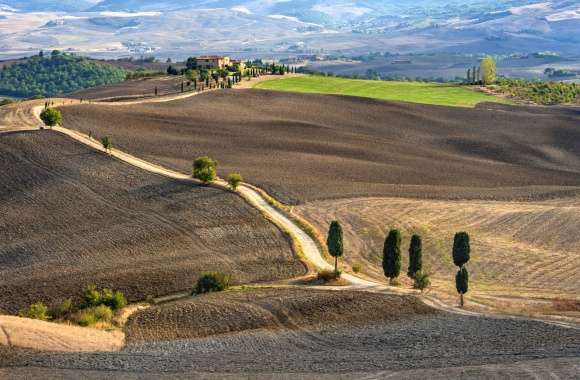 Landscape Dirt Road Field Italy Photography Tuscany