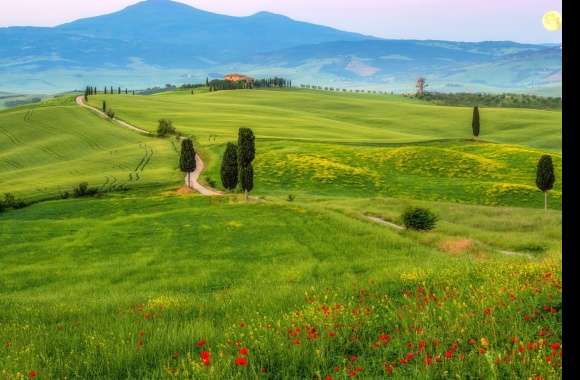 Landscape Italy Photography Tuscany