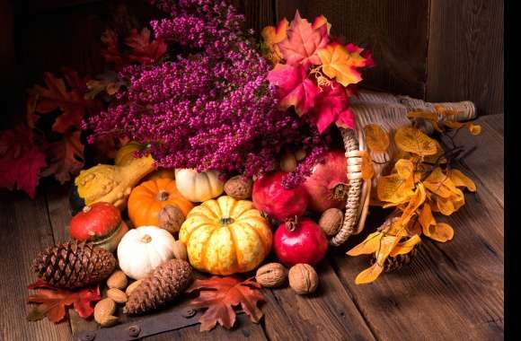 Leaf Walnut Pine Cone Gourd Cornucopia Fall Photography Still Life