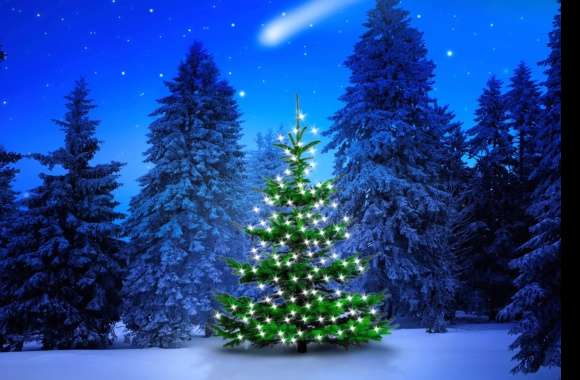 Light Winter Forest Christmas Tree Holiday Christmas Wallpaper