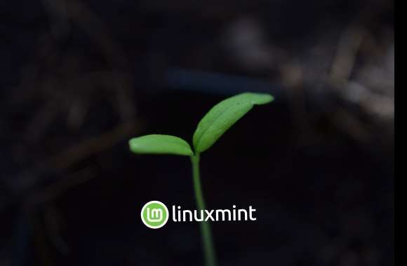 Linux Mint Wallpaper + Plant