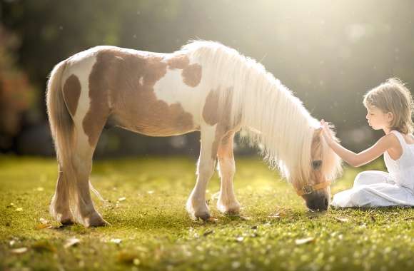 Little Girl Blonde White Dress Sunny Grass Pony Photography Child