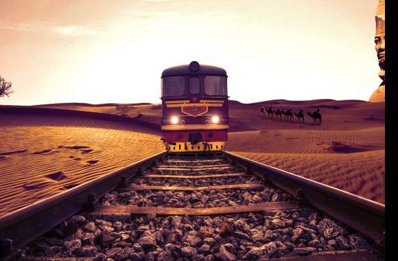 Locomotive Camel Desert Railroad Train Photography Manipulation