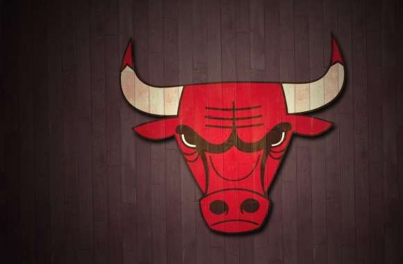 Logo Basketball Chicago Bulls Sports