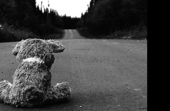 Lonely Journey A of a Teddy Bear on a Sad Road wallpapers hd quality