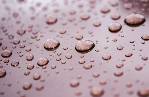 Macro Close-up Brown Water Photography Water Drop