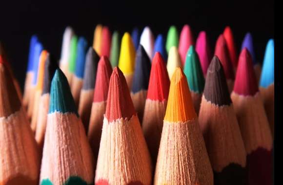 Macro Colors Photography Pencil