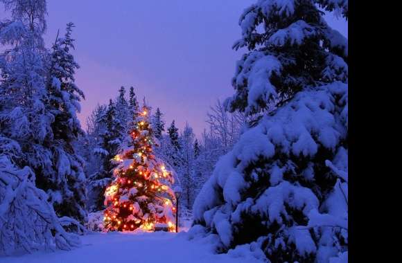 Magical Christmas Lights in a Winter Wonderland -