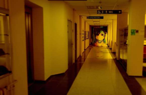 Mikunga is Following You wallpapers hd quality