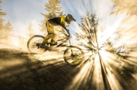 Mountain Bike Sunbeam Bicycle Sports