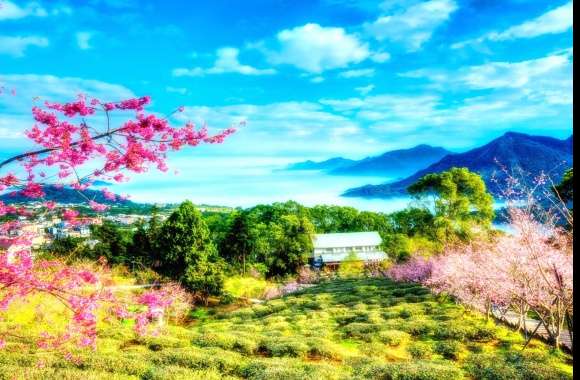 Mountain Valley China Photography Landscape