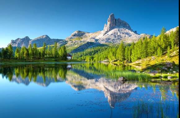 Nature Tree Italy Mountain Reflection Landscape Photography Lake