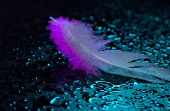 Neon light Feather wallpapers hd quality