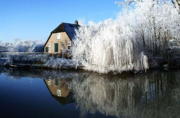 Netherlands Winter Reflections -