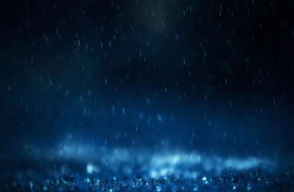 Night Rain