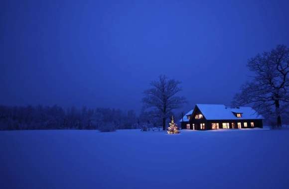 Night Snow Photography Winter