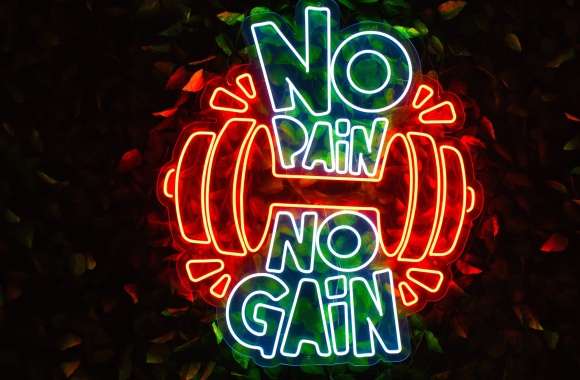 No pain No gain Neon sign wallpapers hd quality