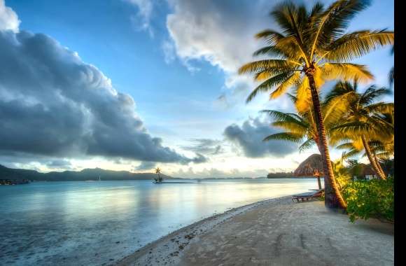 Ocean Beach Sky Horizon Cloud Palm Tree Tropical Photography Holiday