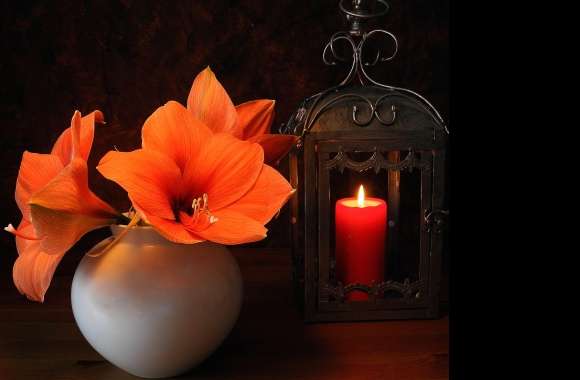 Orange Flower Candle Lamp Lantern Vase Lily Photography Still Life
