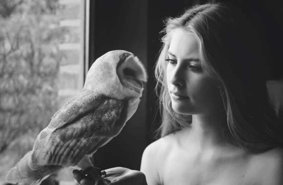 Owl & Blonde Beauty wallpapers hd quality