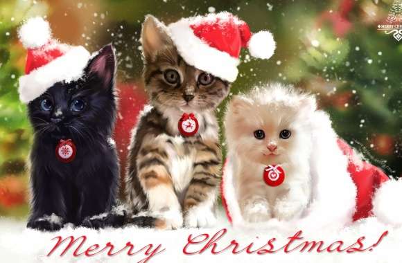 Painting Cute Santa Hat Cat Merry Christmas Holiday Christmas Cute Cat