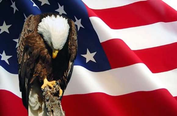 Patriotic Bald Eagle on American Flag