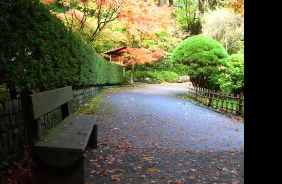 Peaceful Park Path