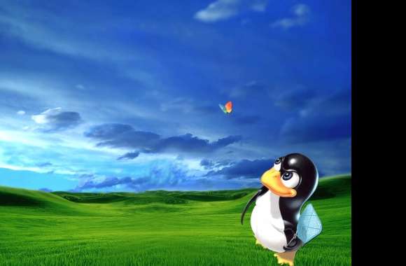 Penguin Tech Serenity -