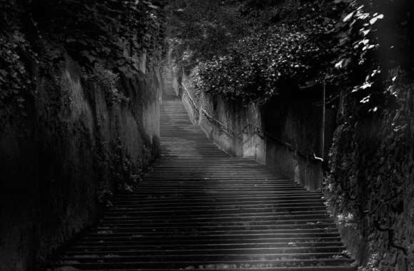 Photography Black & White wallpapers hd quality