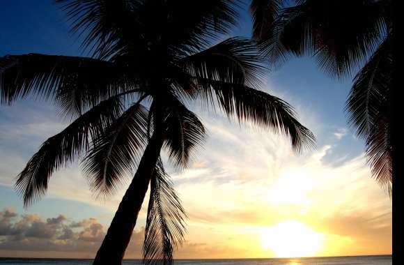 Photography Sunset wallpapers hd quality