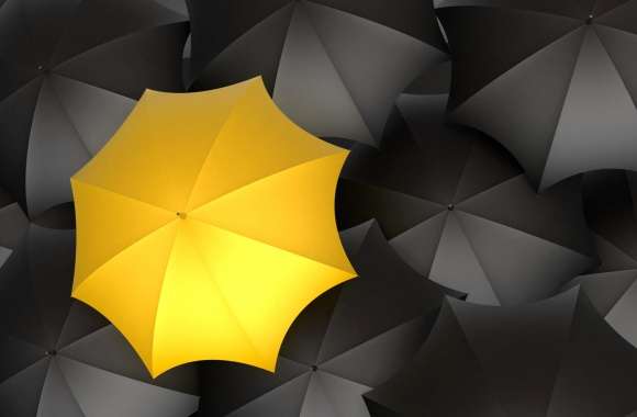 Photography Umbrella wallpapers hd quality