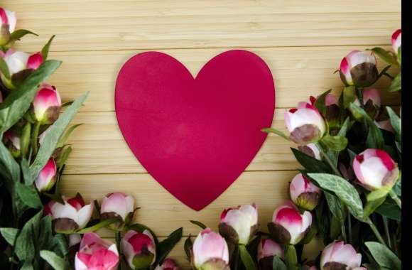 Pink Flower Flower Peony Heart Romantic Photography Love