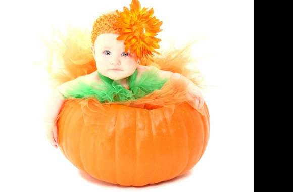 Pumpkin Orange Flower Cute Photography Baby wallpapers hd quality