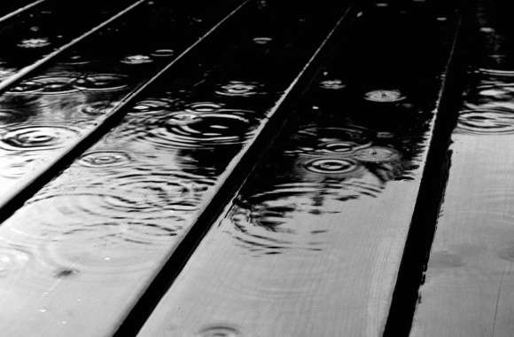 Rain Drops on Black Wood