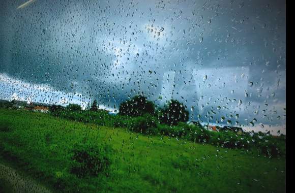 Rainy Day Serenity Capturing Nature’s Silence