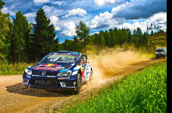 Rally Race on Dirt Road -