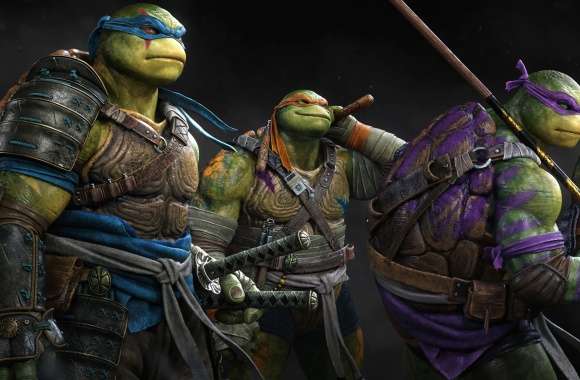 Raphael (TMNT) Michelangelo (TMNT) Leonardo (TMNT) Donatello (TMNT) Comic Teenage Mutant Ninja Turtles