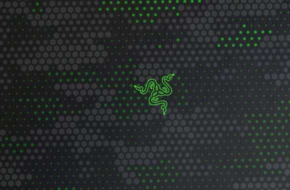 Razer Dark background