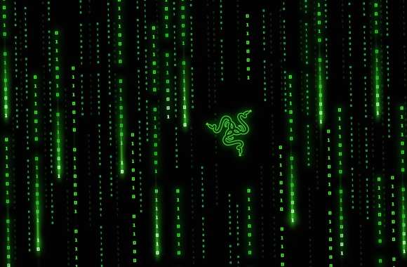 Razer Matrix falling code