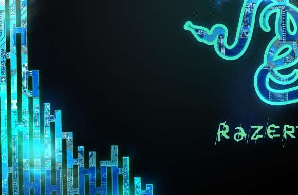 Razer Technology A Bold Digital Experience